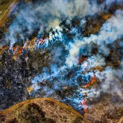 March 2020 (Shaker Village of Plesant Hill)